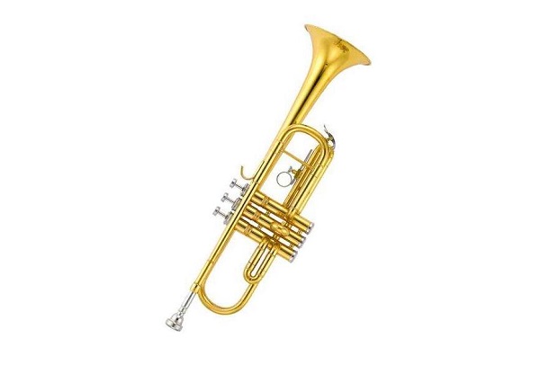 小号指法有哪些,如何练习?