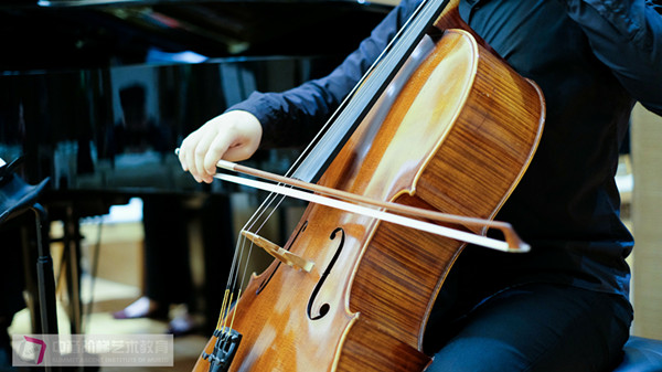 大提琴艺考咨询问题解答内容 考生都关心哪些问题？
