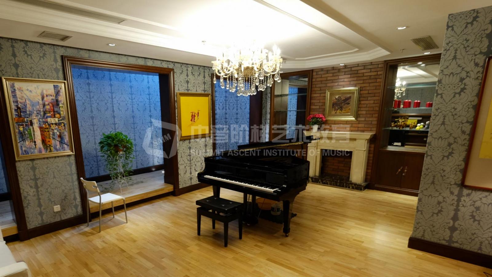 济南音乐艺考培训机构哪家好?(北京授课)