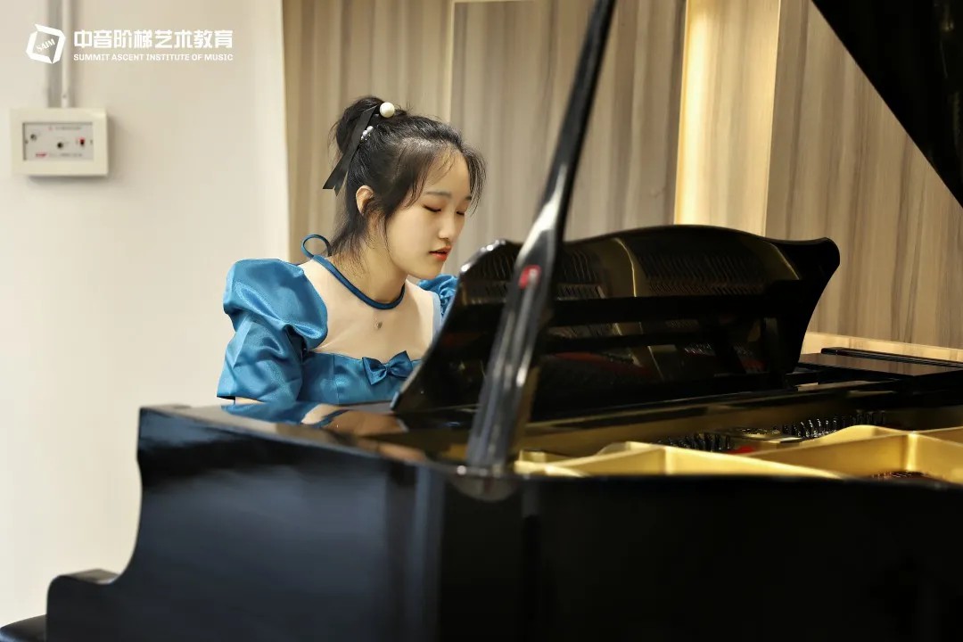 高中学音乐学什么乐器比较好？