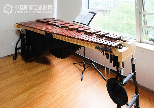 专业二胡培训学校是哪家？二胡的音色特点是什么？