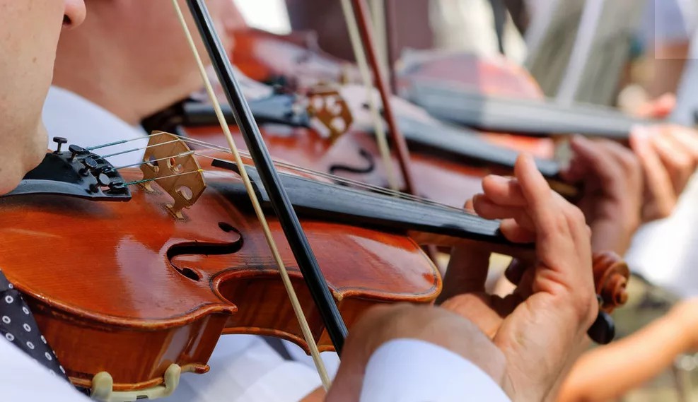 学小提琴要多长时间?小提琴培训费用一般是多少?