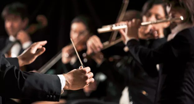 器乐艺术生有哪些专业适合学生的？