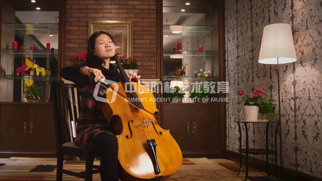 西洋乐器大提琴